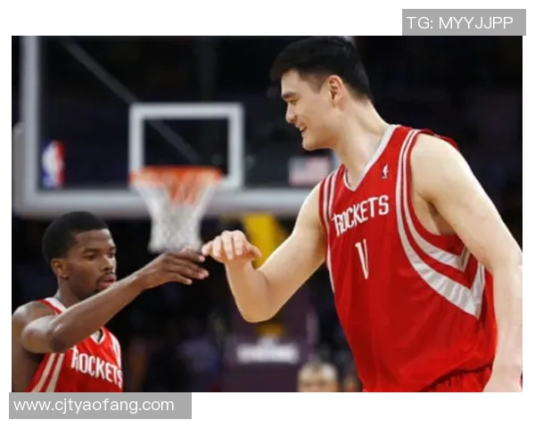 姚明队友鸟的传奇故事与篮球梦想的交织之旅