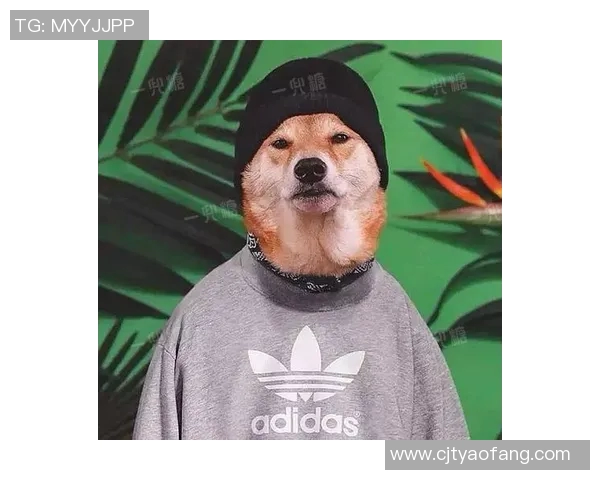 狗狗化身篮球明星男神的趣味头像设计大赏